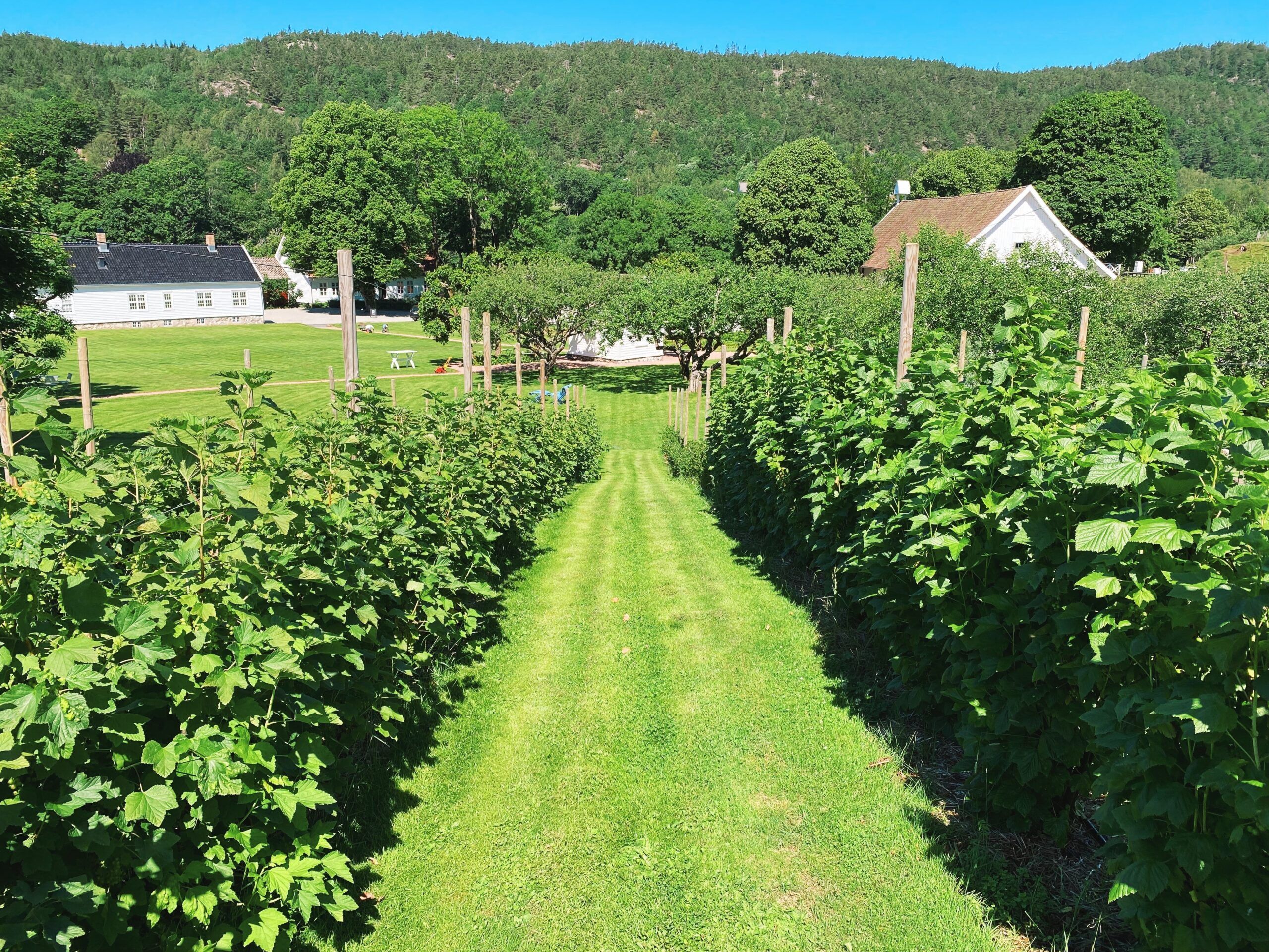 Boen Gård på Tveit i Kristiansand