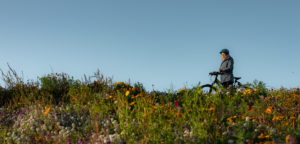 Dame sykler over blomstereng