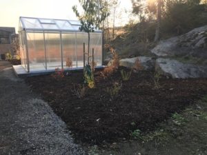 jord og planter i kjøkkenhage