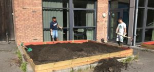 jord og planter i kjøkkenhage