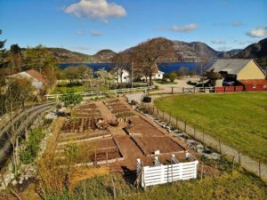 Grønnsakshage Gøysa Gard