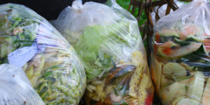 Mat i søppelposer matsvinn