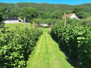 Boen Gård på Tveit i Kristiansand