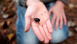 Foto: Kine Beate Øynes