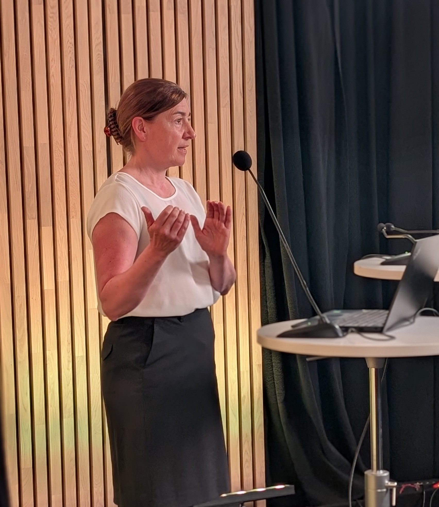 Heidi Chr. Lund, leder bærekraft i Norges Bilbransjeforbund.