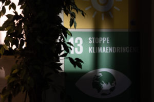 Bilde av en plante i forgrunnen med et skilt av bærekraftsmål nr. 13 i bakgrunnen